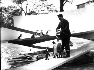 Penguin Pool by Frederick William Bond
